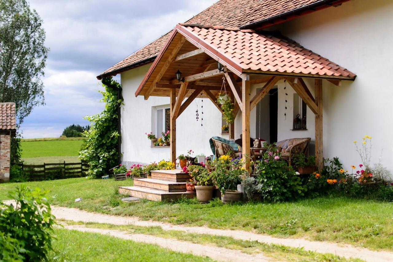 Zakatek Szczescia Eko Agroturystyka Kiwity Esterno foto