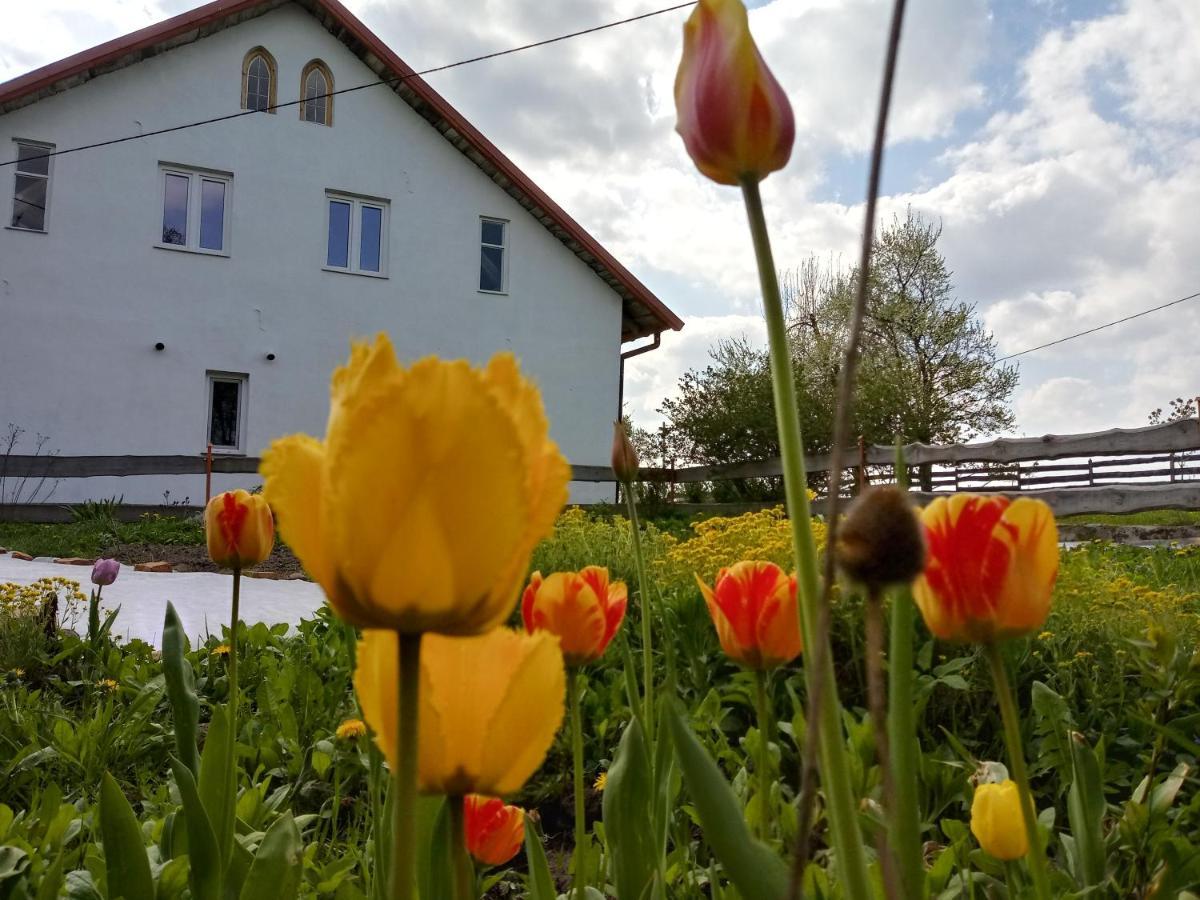 Zakatek Szczescia Eko Agroturystyka Kiwity Esterno foto