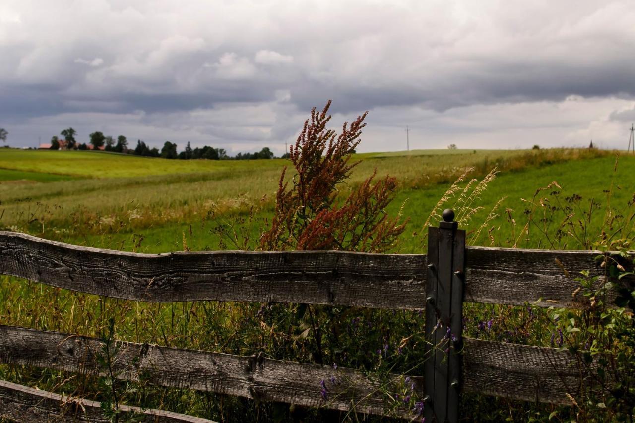 Zakatek Szczescia Eko Agroturystyka Kiwity Esterno foto