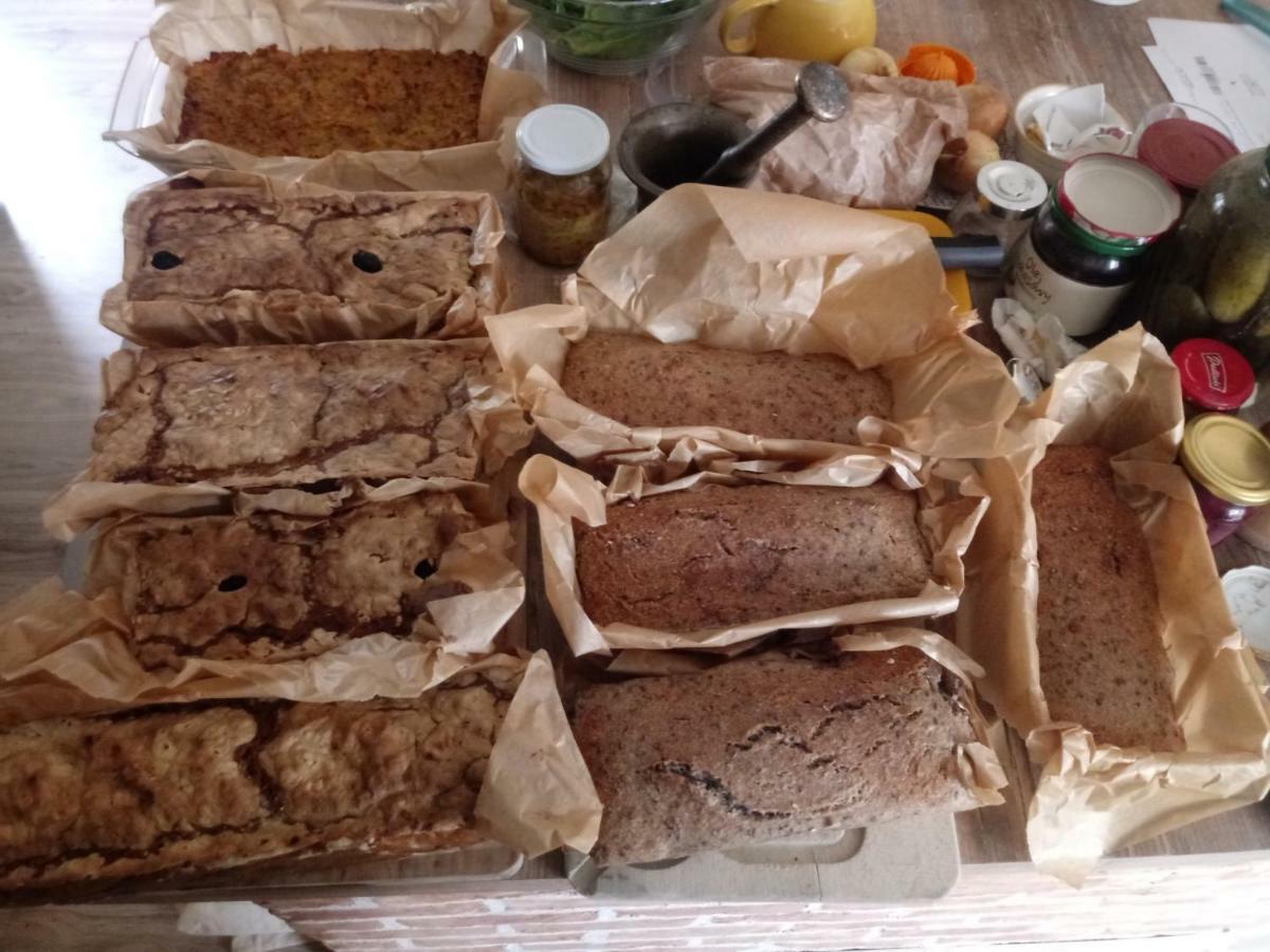 Zakatek Szczescia Eko Agroturystyka Kiwity Esterno foto