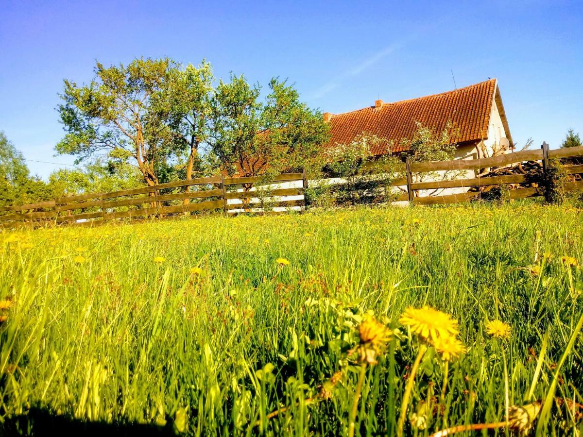 Zakatek Szczescia Eko Agroturystyka Kiwity Esterno foto
