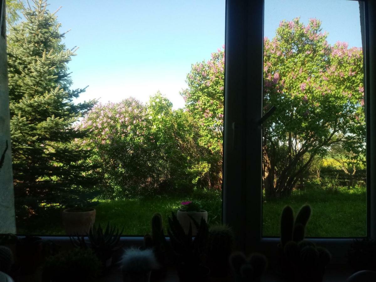 Zakatek Szczescia Eko Agroturystyka Kiwity Esterno foto